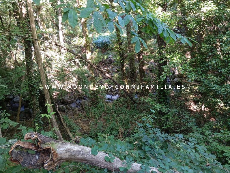 sendero castañar ojestos san martín trevejo adondevoyconmifamilia 27
