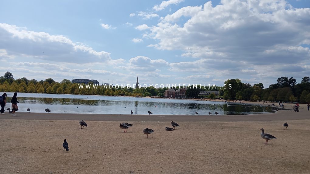 escocia y londres adondevoyconmifamilia hydepark03