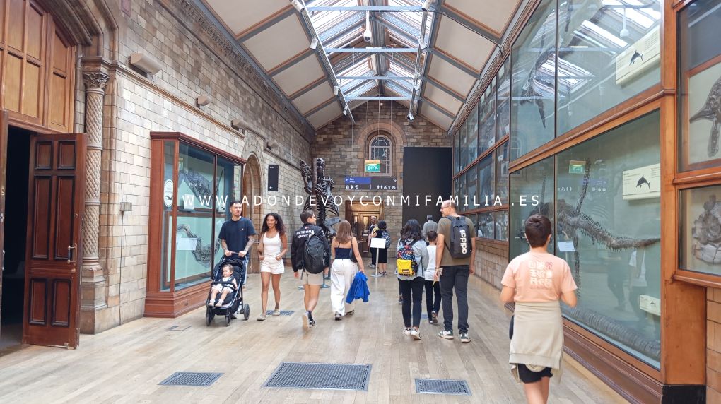 escocia y londres adondevoyconmifamilia museo historia natural 02
