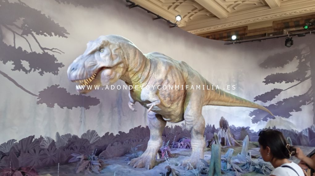 escocia y londres adondevoyconmifamilia museo historia natural 11