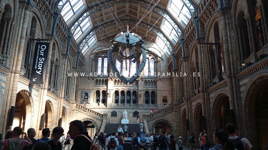 escocia y londres adondevoyconmifamilia museo historia natural 16