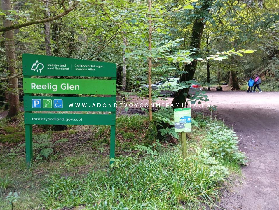 sendero reelig glen escocia adondevoyconmifamilia wikiloc 01