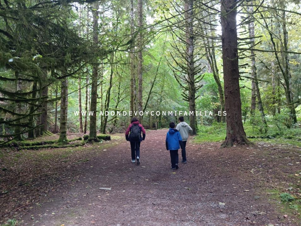 sendero reelig glen escocia adondevoyconmifamilia wikiloc 09