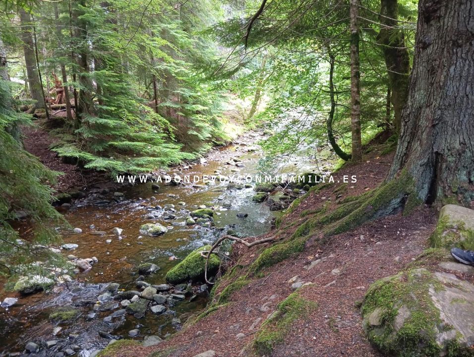 sendero reelig glen escocia adondevoyconmifamilia wikiloc 13