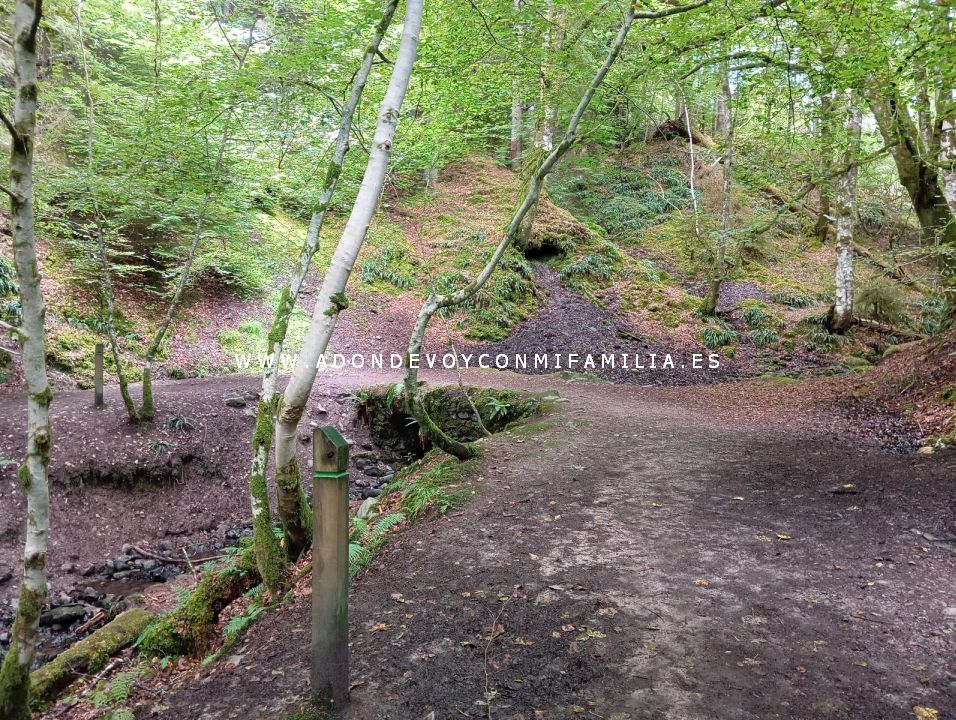 sendero reelig glen escocia adondevoyconmifamilia wikiloc 15
