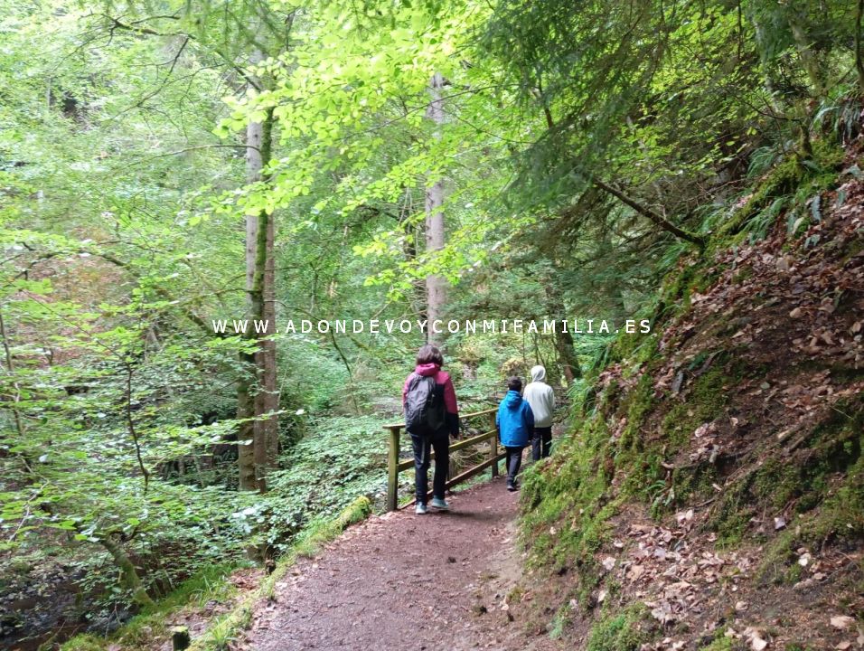 sendero reelig glen escocia adondevoyconmifamilia wikiloc 19