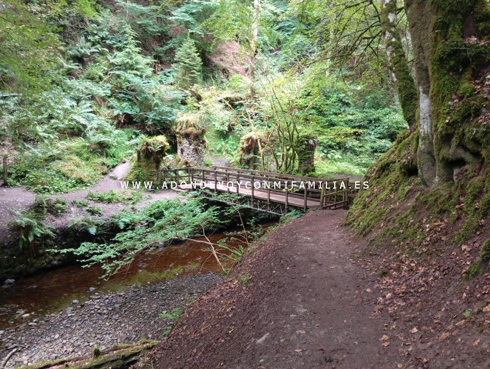 sendero reelig glen escocia adondevoyconmifamilia wikiloc 21