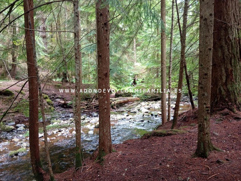 sendero reelig glen escocia adondevoyconmifamilia wikiloc 31